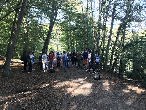 foret